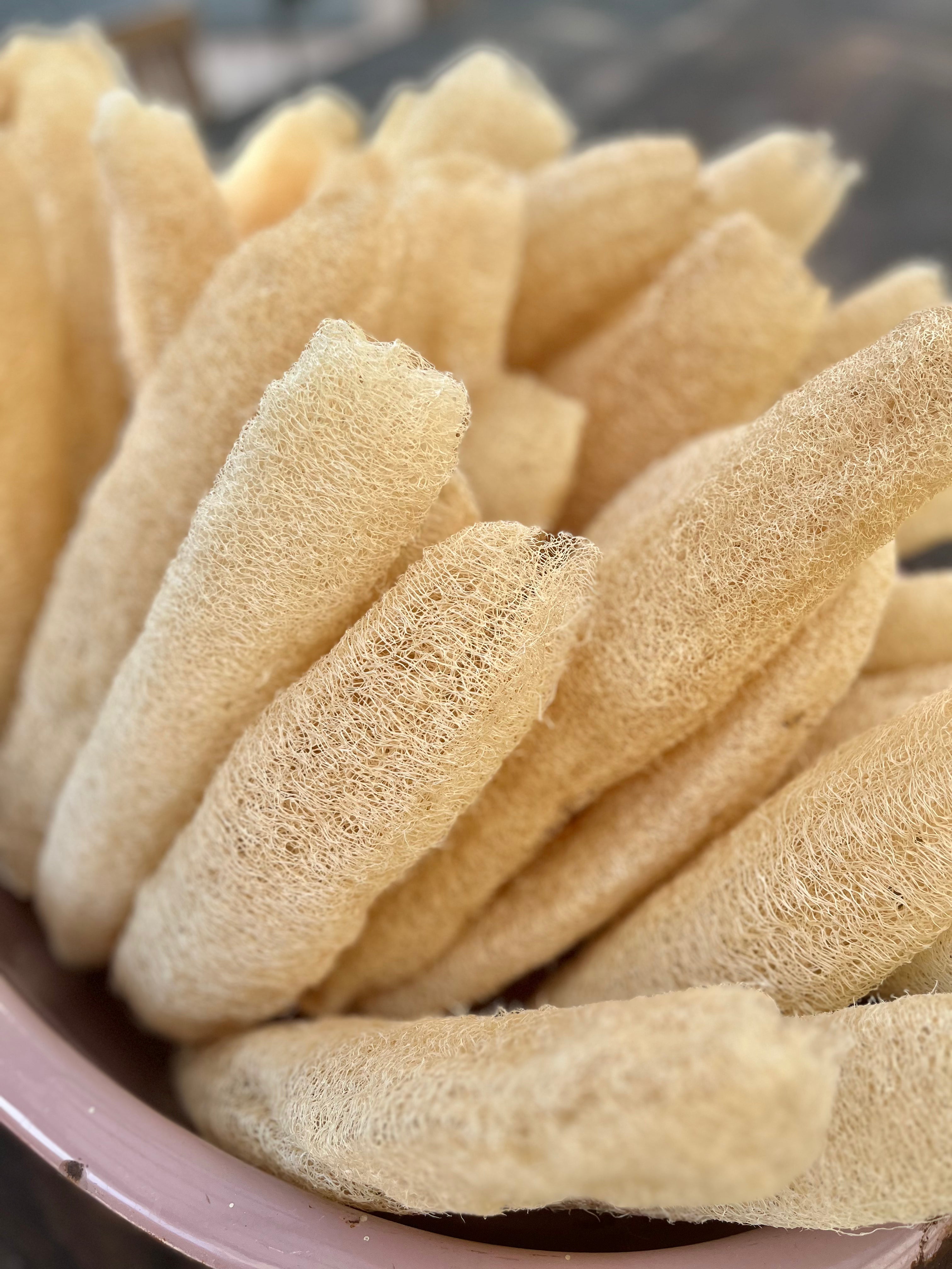 Loofah, Soap Bag and Face Brush Bundle!