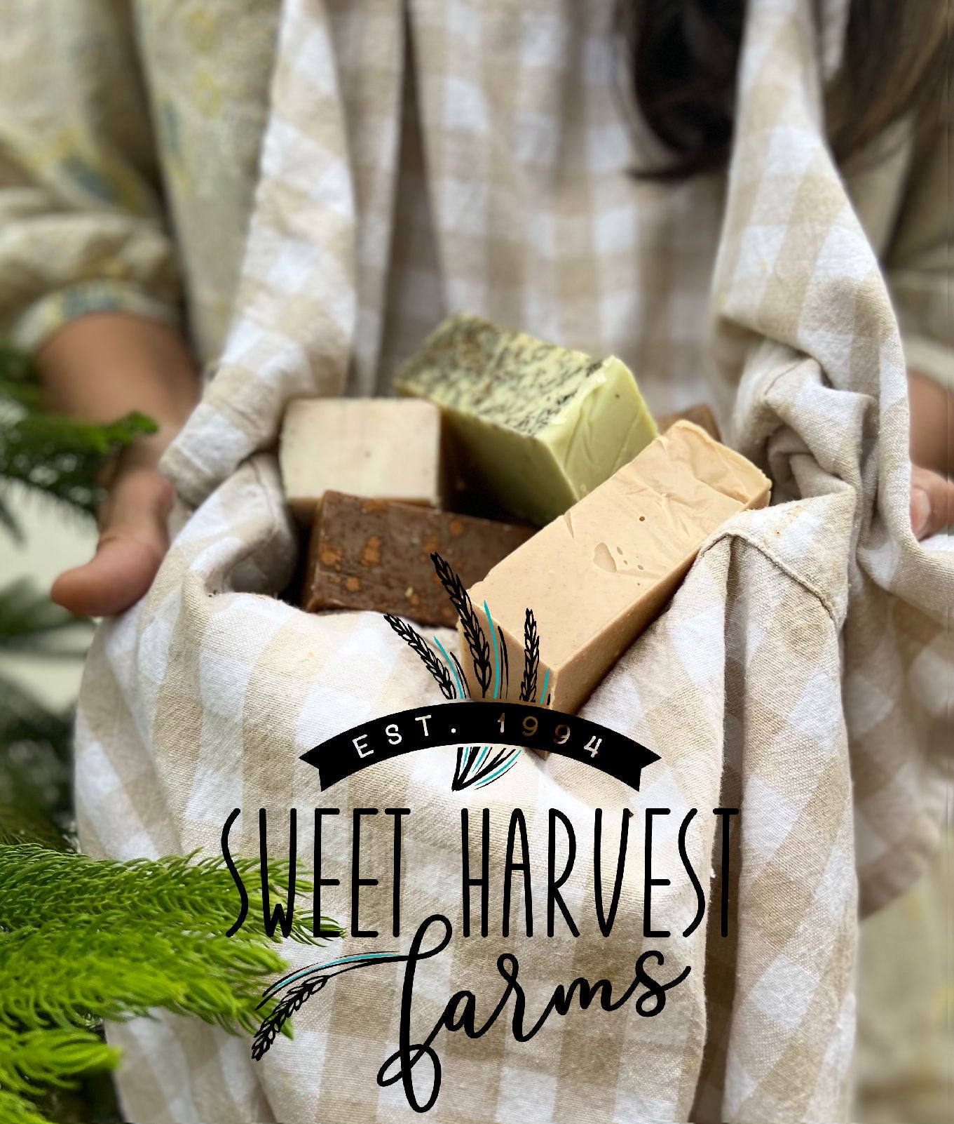 Get a box full of organic hand made soap, lotion and more every month with this soap of the month club! Big box at 6th month full or organic handmade soap, lotions, bath salts and more!