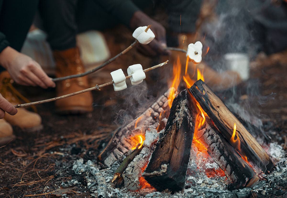 Campfire & Fireflies Organic Handmade Soap | Smoky Nights & Summer Lights - Sweet Harvest FarmsOrganic Handmade SoapSweet Harvest Farms