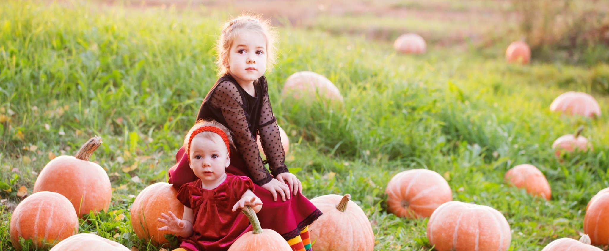 Always something to be thankful for - Sweet Harvest Farms