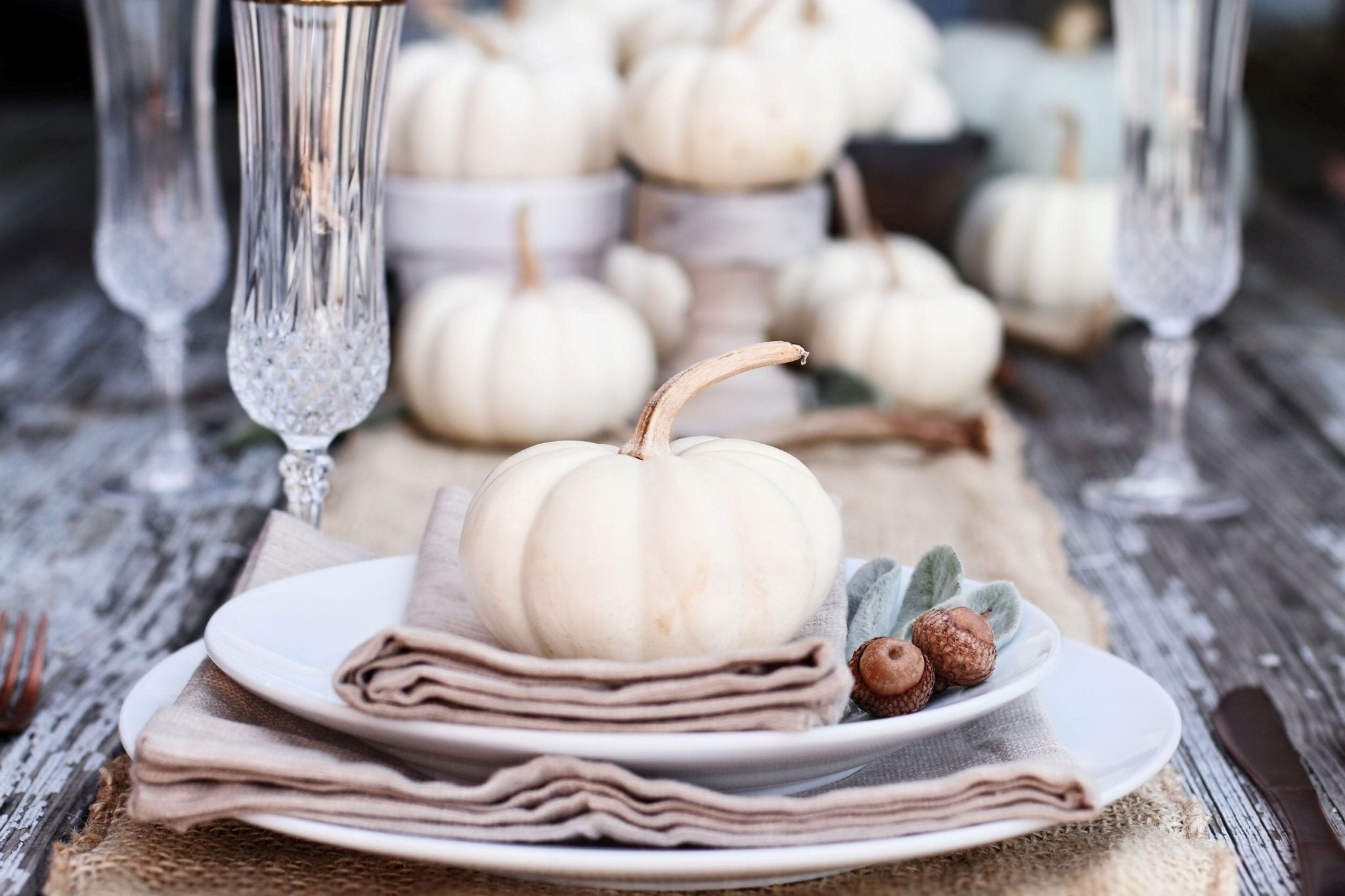 Looking forward to Fall has taken on a whole new meaning! - Sweet Harvest Farms