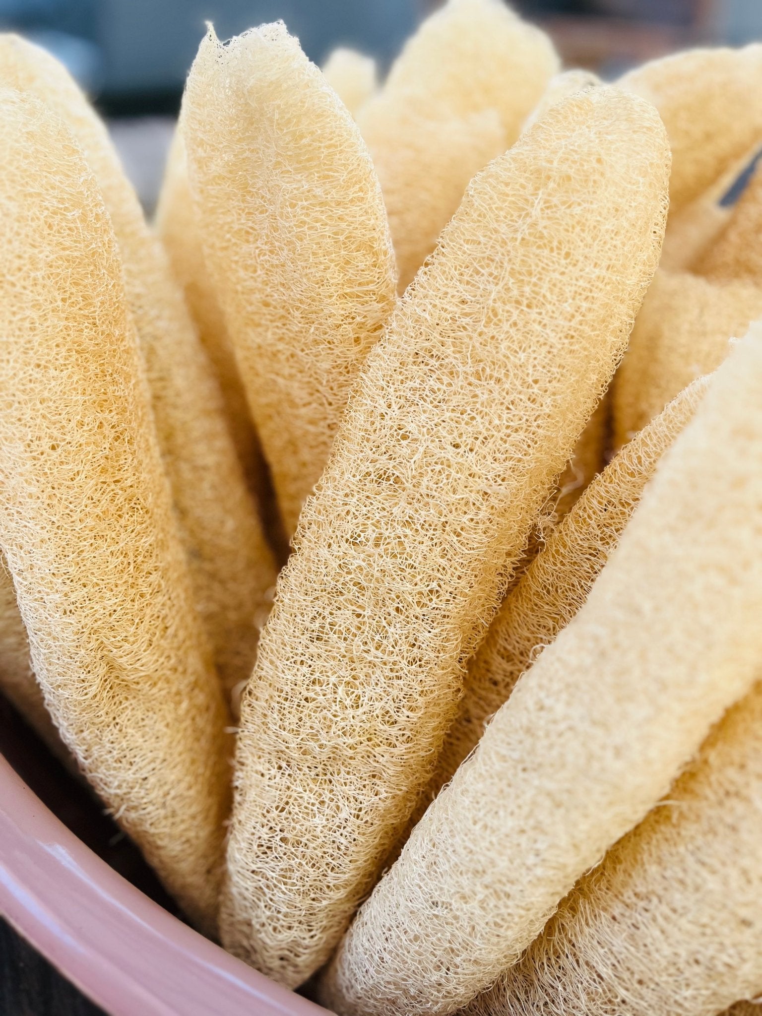 Bath, Body, and Home Necessities - Sweet Harvest Farms