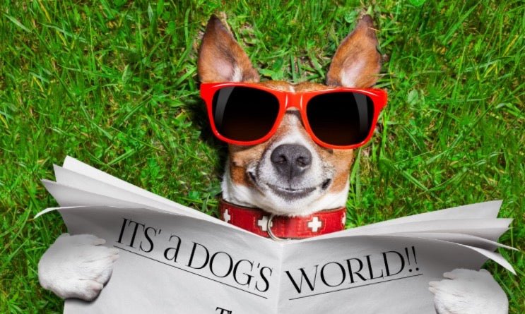 It's a Dog's World! - Sweet Harvest Farms