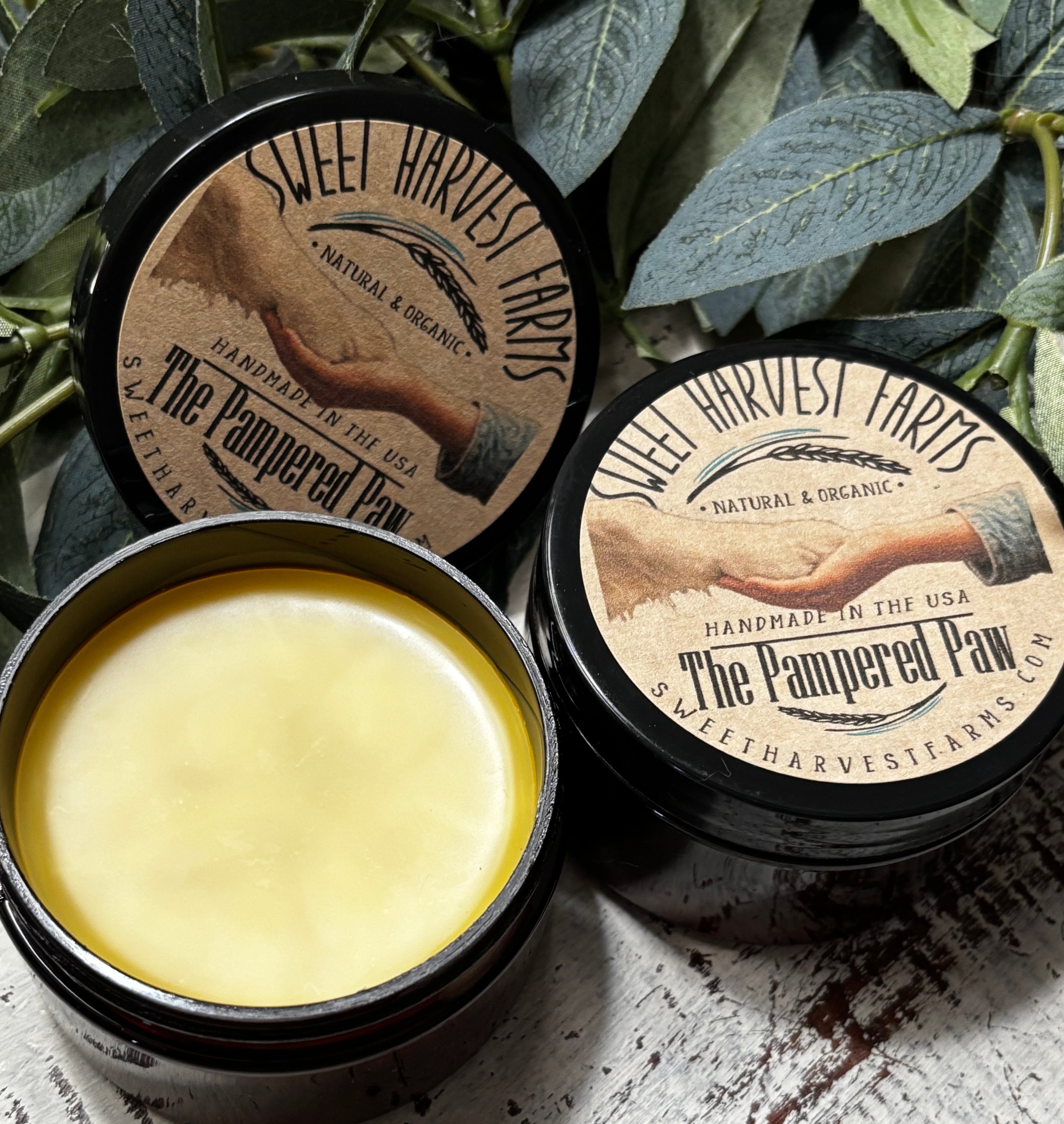 The Pampered Paw - Organic Paw Salve for your canine family member