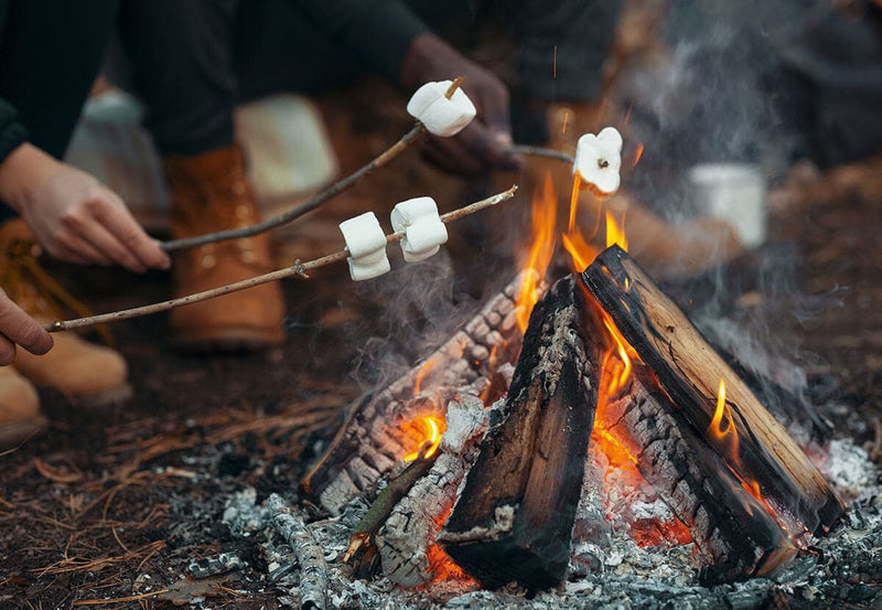 Campfire and Fireflies Organic Handmade Soap