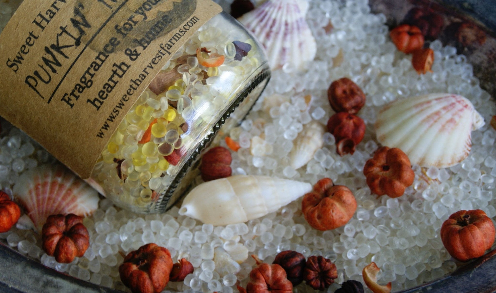 Pun'kin Head Aroma Beads Potpourri - This jar of beads will last forever! - Sweet Harvest FarmsAroma Beads/PotpouriSweet Harvest Farms